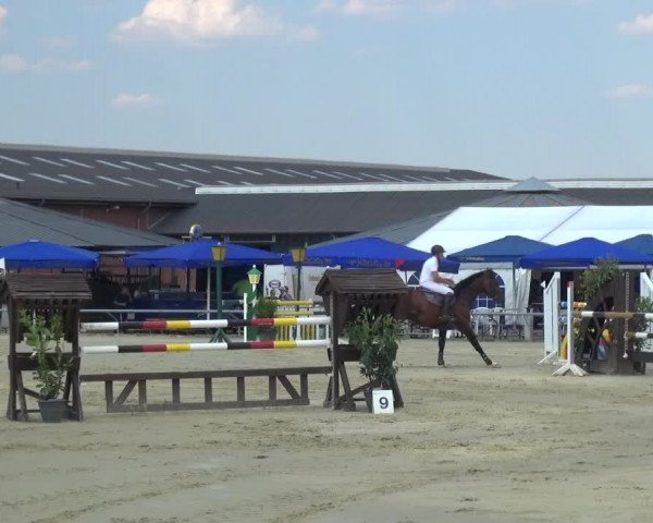 Kreisturnier auf dem Hilgershof 2018