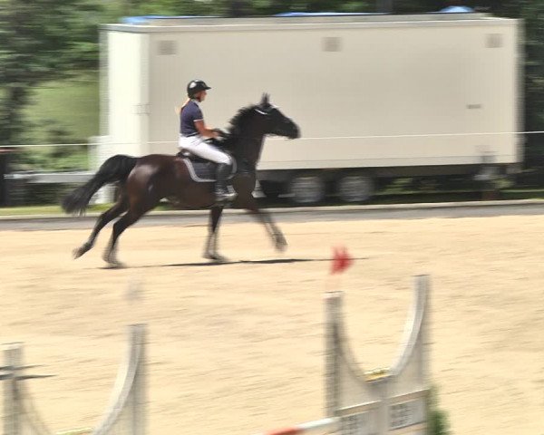 Summer Masters Maienfeld 2018