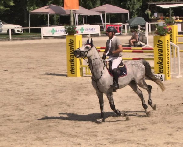 Reitturnier Waiblingen 2018