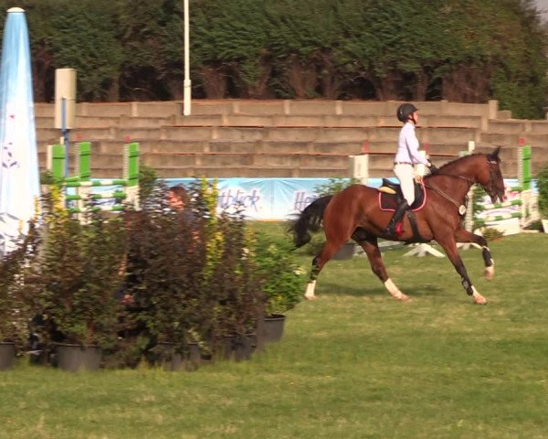 Reitturnier Baschütz bei Bautzen 2018