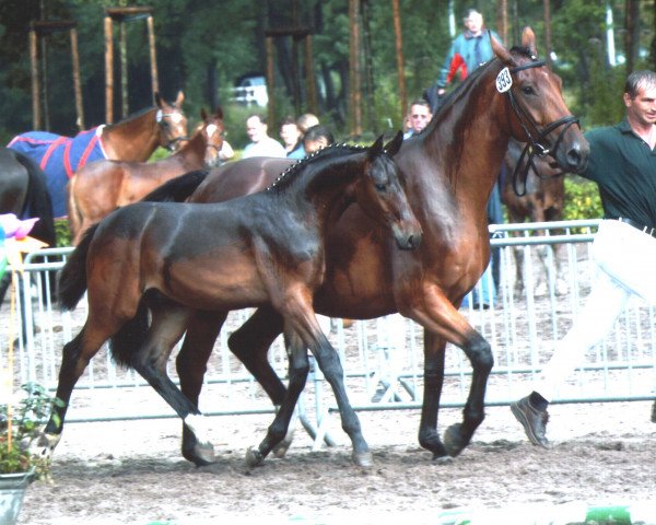 horse Sun Dancer (Rhinelander, 2003, from Sunny-Boy)