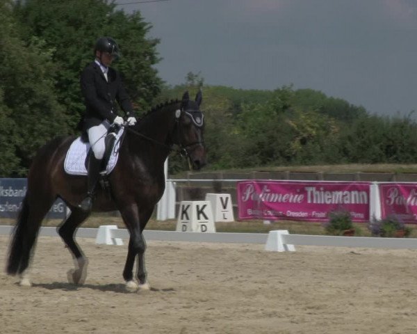 Reitturnier Baschütz bei Bautzen 2018