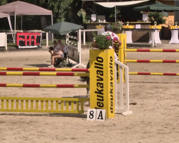 Reitturnier Waiblingen 2018