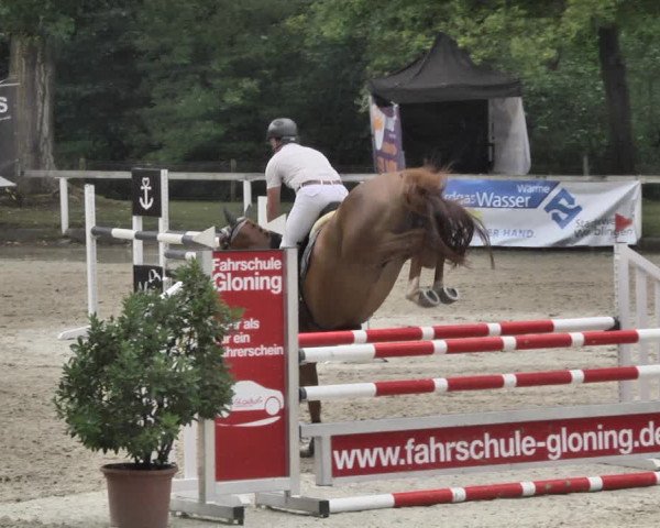 Reitturnier Waiblingen 2018