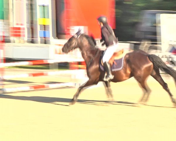 Summer Masters Maienfeld 2018