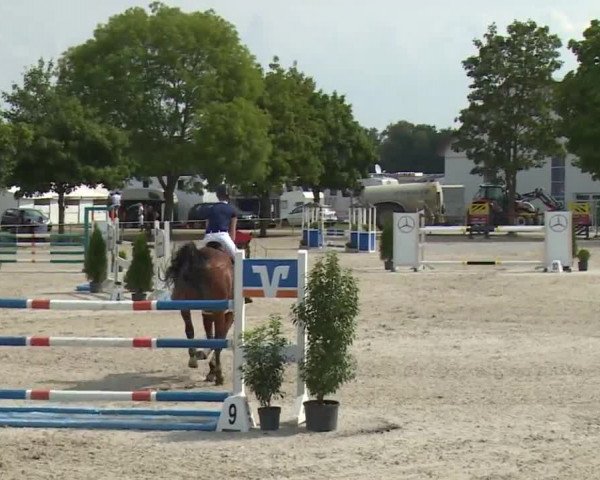 Hohenloher Reit Event 2018