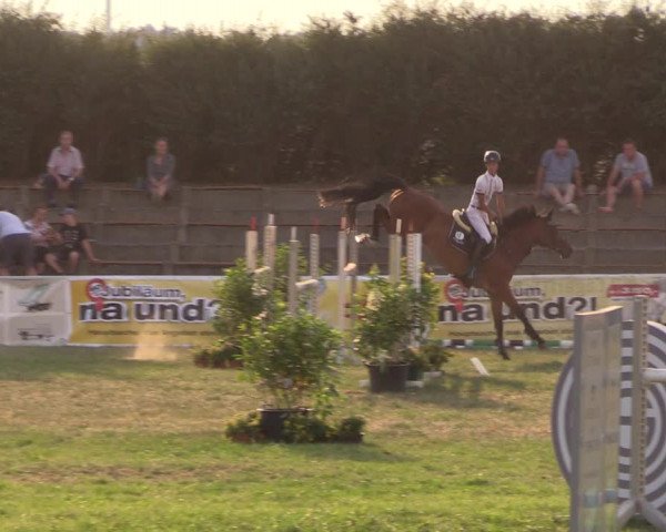 Reitturnier Baschütz bei Bautzen 2018