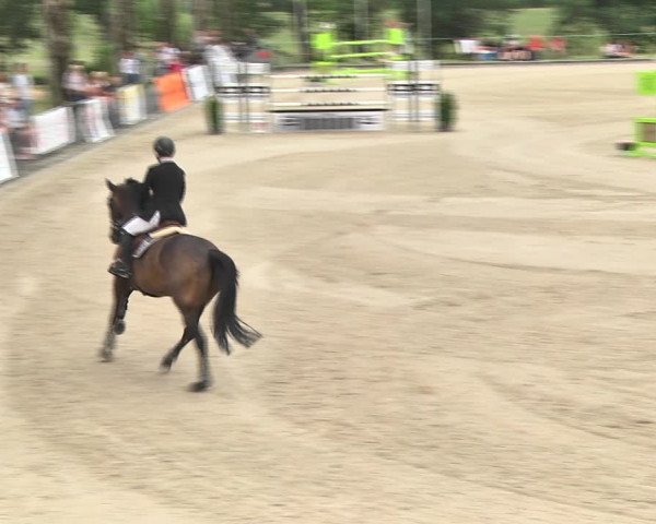 Summer Masters Maienfeld 2018