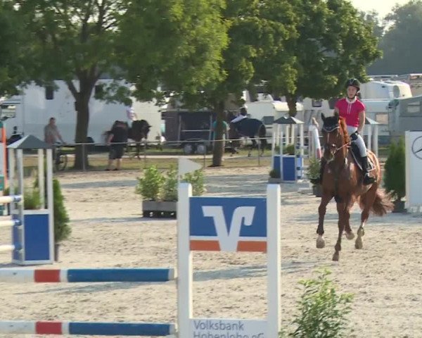Hohenloher Reit Event 2018
