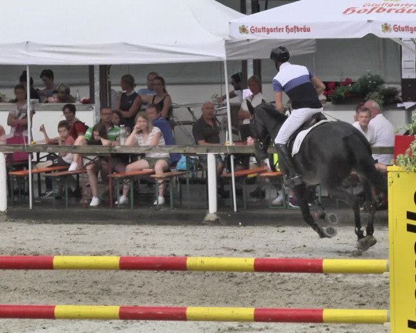 Reitturnier Waiblingen 2018