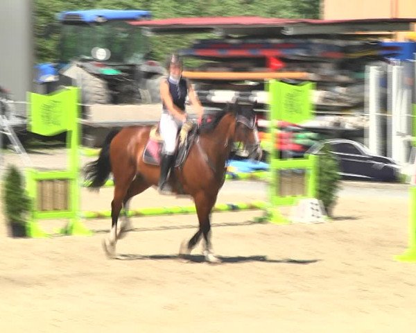 Summer Masters Maienfeld 2018