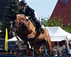broodmare Balouberta 2 (German Sport Horse, 2007, from Balou du Rouet)