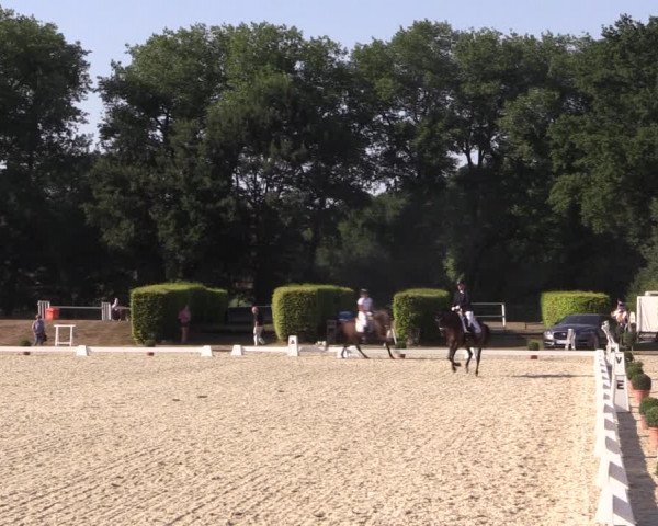 Reitturnier Münster-Handorf 2018