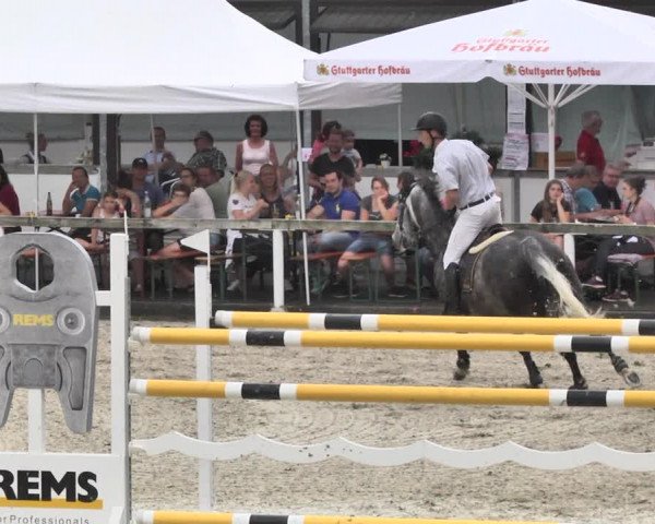 Reitturnier Waiblingen 2018