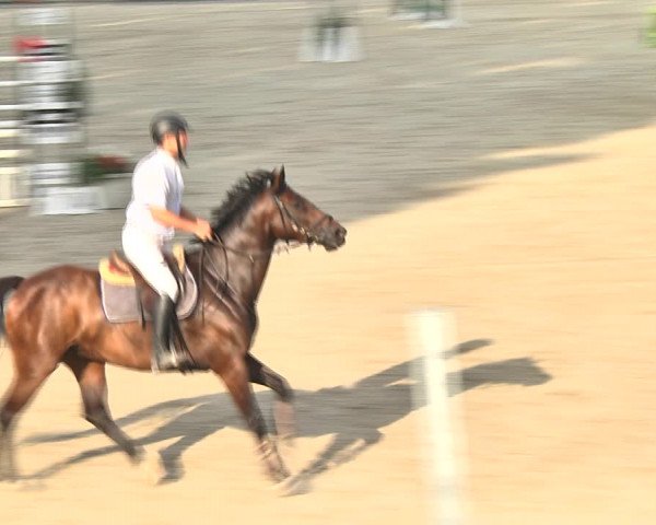 Summer Masters Maienfeld 2018