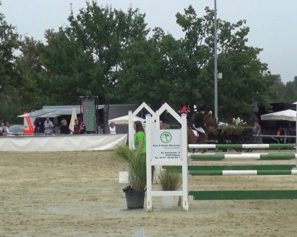 Kreisturnier auf dem Hilgershof 2018
