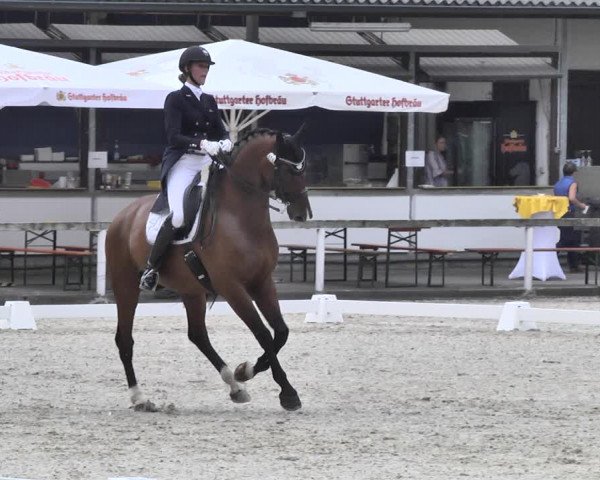 Reitturnier Waiblingen 2018