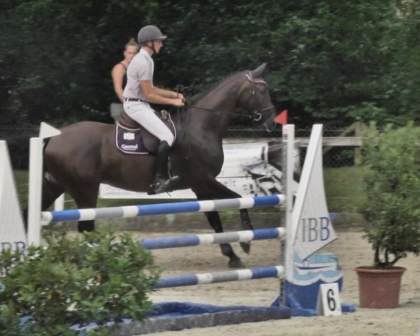Reitturnier Waiblingen 2018