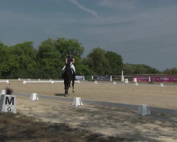 Reitturnier Baschütz bei Bautzen 2018