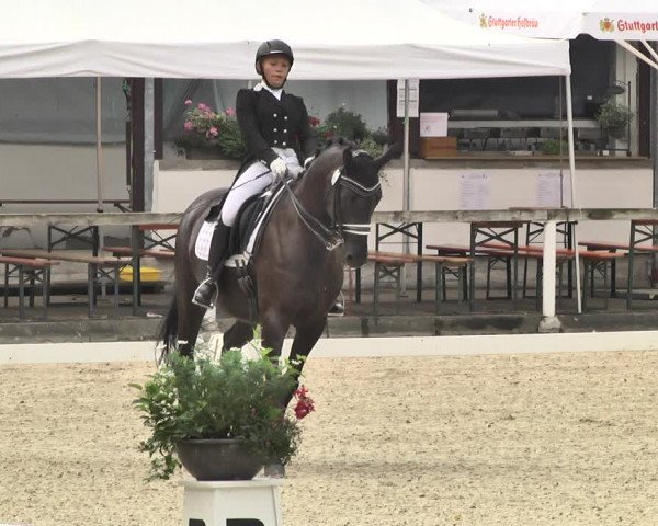 Reitturnier Waiblingen 2018