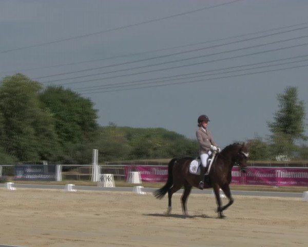 Reitturnier Baschütz bei Bautzen 2018