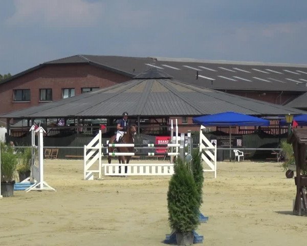 Kreisturnier auf dem Hilgershof 2018