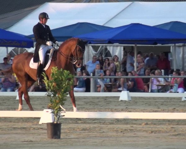Kreisturnier auf dem Hilgershof 2018
