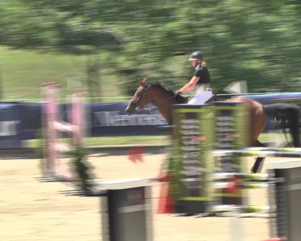 Summer Masters Maienfeld 2018