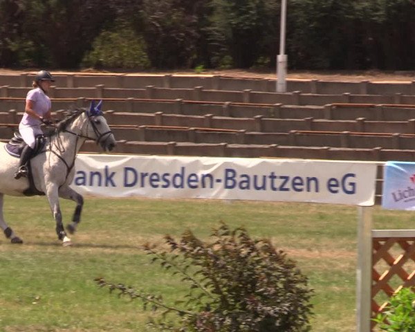 Reitturnier Baschütz bei Bautzen 2018