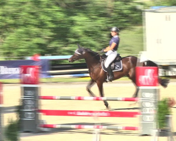 Summer Masters Maienfeld 2018