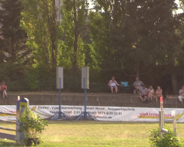 Reitturnier Baschütz bei Bautzen 2018