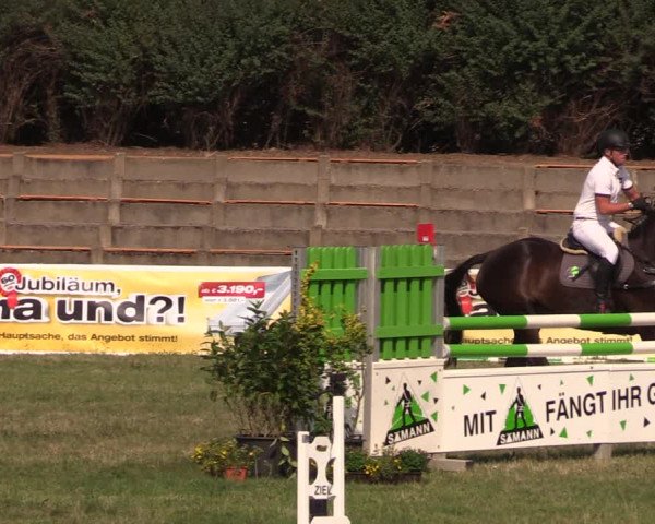 Reitturnier Baschütz bei Bautzen 2018