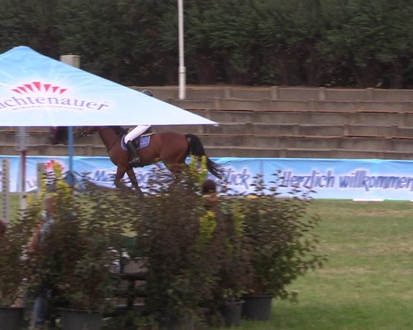 Reitturnier Baschütz bei Bautzen 2018