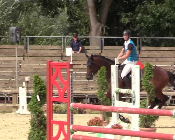 Reitturnier Münster-Handorf 2018