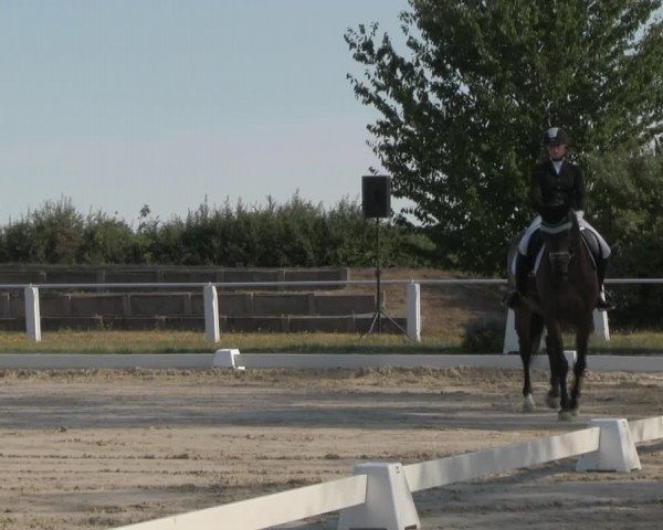 Reitturnier Baschütz bei Bautzen 2018