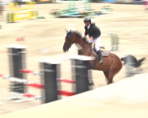 Summer Masters Maienfeld 2018