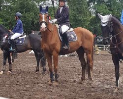 jumper Frosti 14 (Hanoverian, 2009, from For Edition)