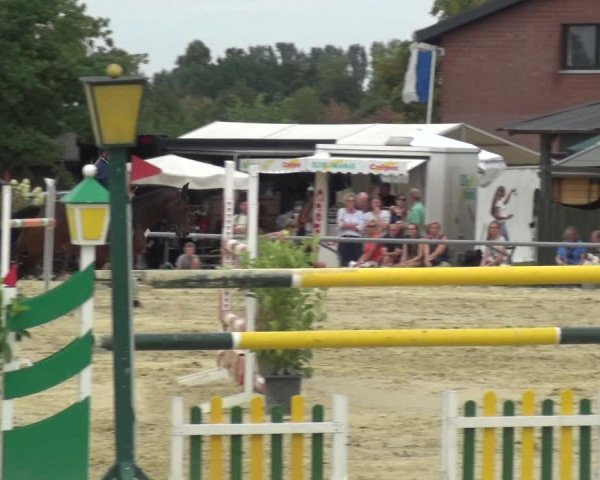 Kreisturnier auf dem Hilgershof 2018