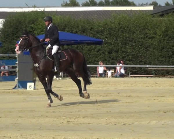 Kreisturnier auf dem Hilgershof 2018