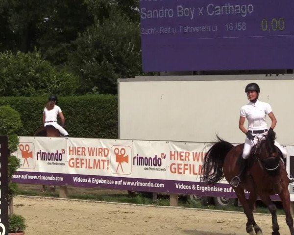 Reitturnier Münster-Handorf 2018