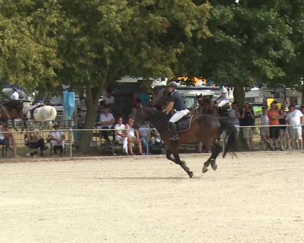 Hohenloher Reit Event 2018