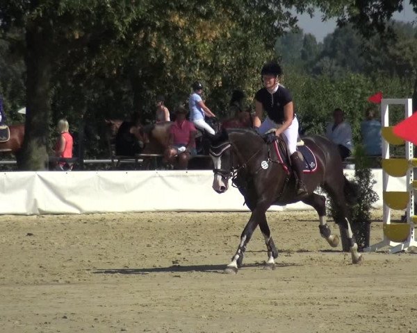 Kreisturnier auf dem Hilgershof 2018