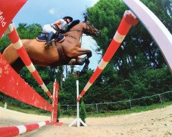 jumper Calixto 2 (Holsteiner, 2006, from Coriano)