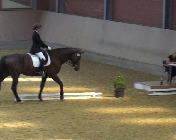 Kreisturnier auf dem Hilgershof 2018