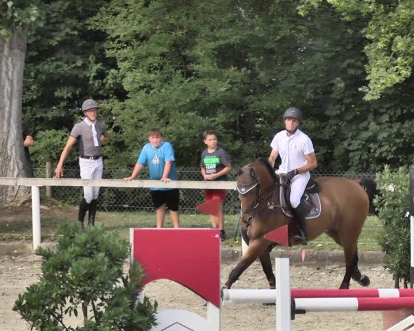 Reitturnier Waiblingen 2018