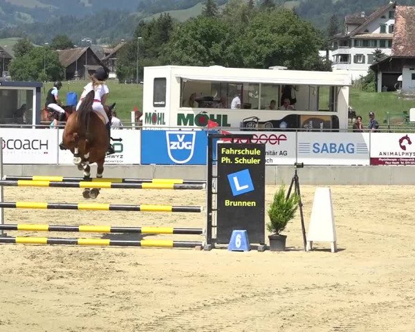 Schwyzer Pferdesporttage 2018
