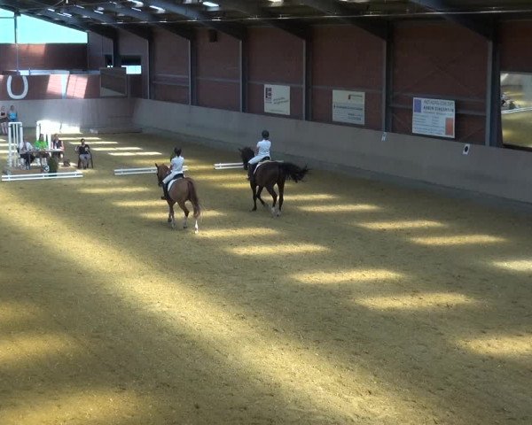 Kreisturnier auf dem Hilgershof 2018