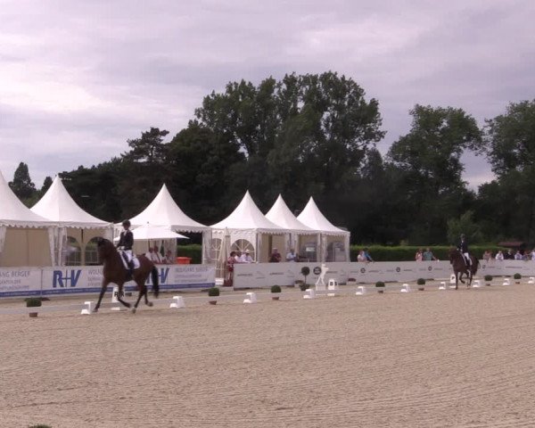 Reitturnier Münster-Handorf 2018