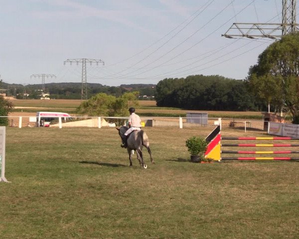 Reitturnier Baschütz bei Bautzen 2018