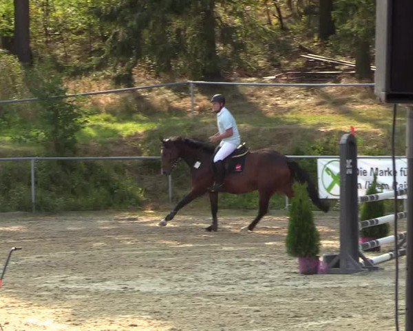 Reitturnier Brilon-Reitanlage Volbracht 2018